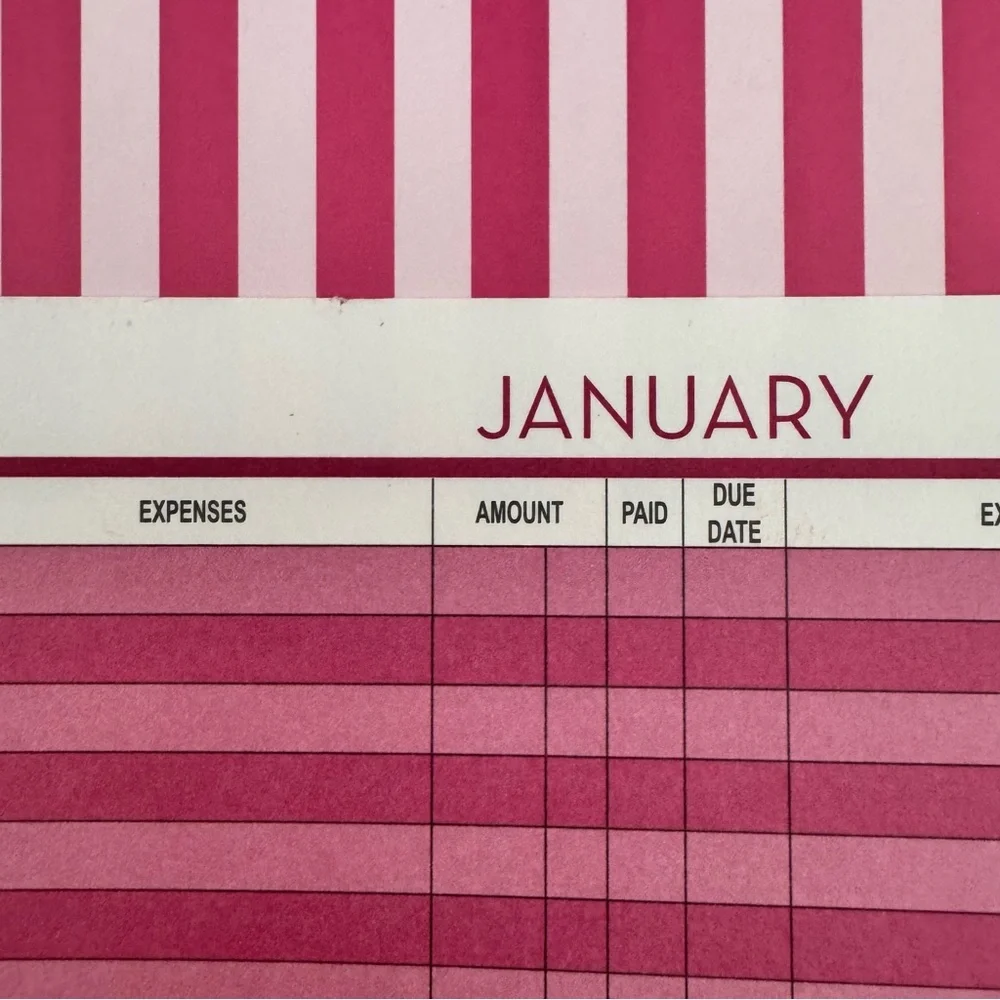 Home Finance Bill Organizer monthly pockets Budget planner girls just want NEW